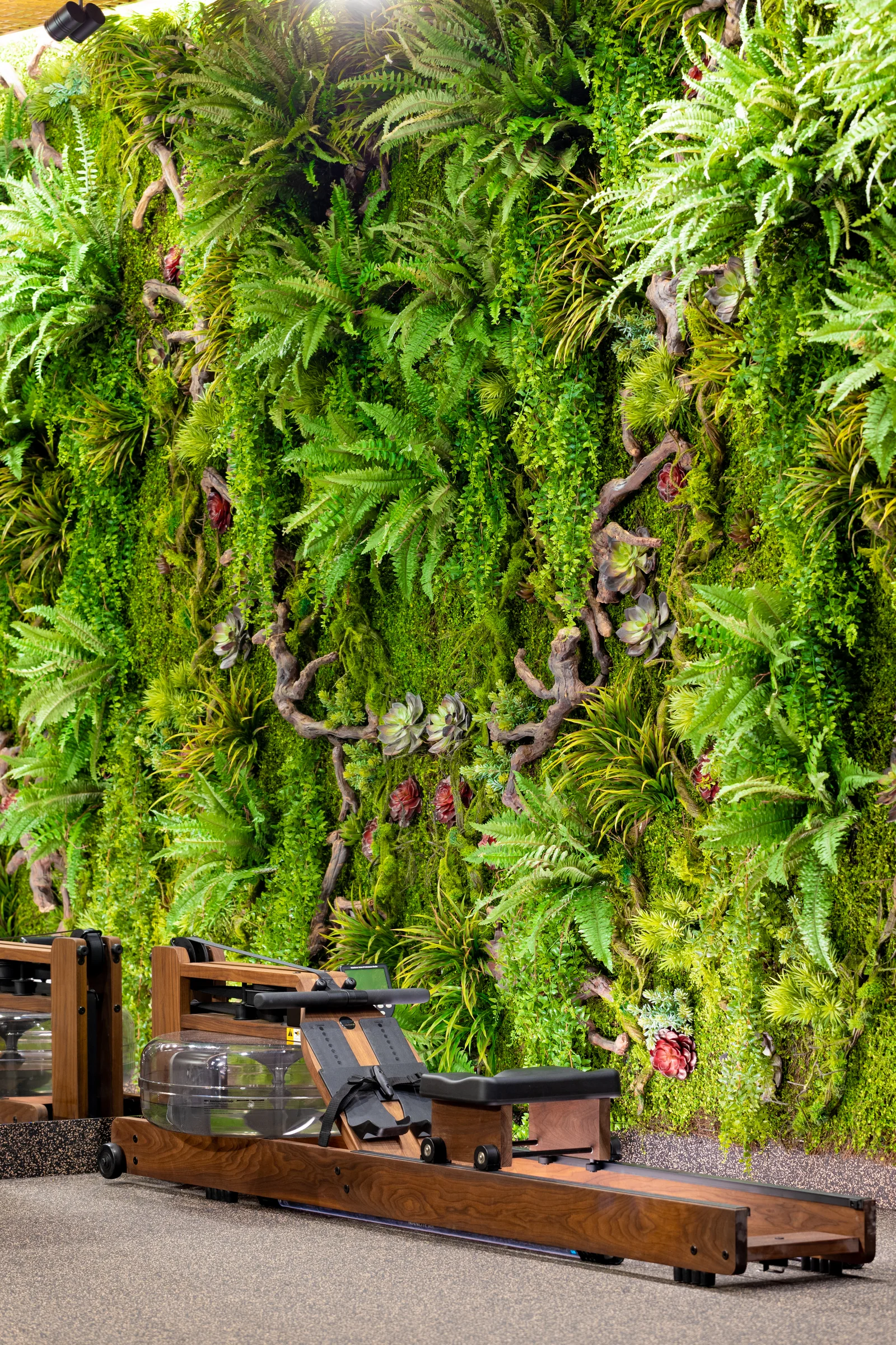 Грузинка - Спорт