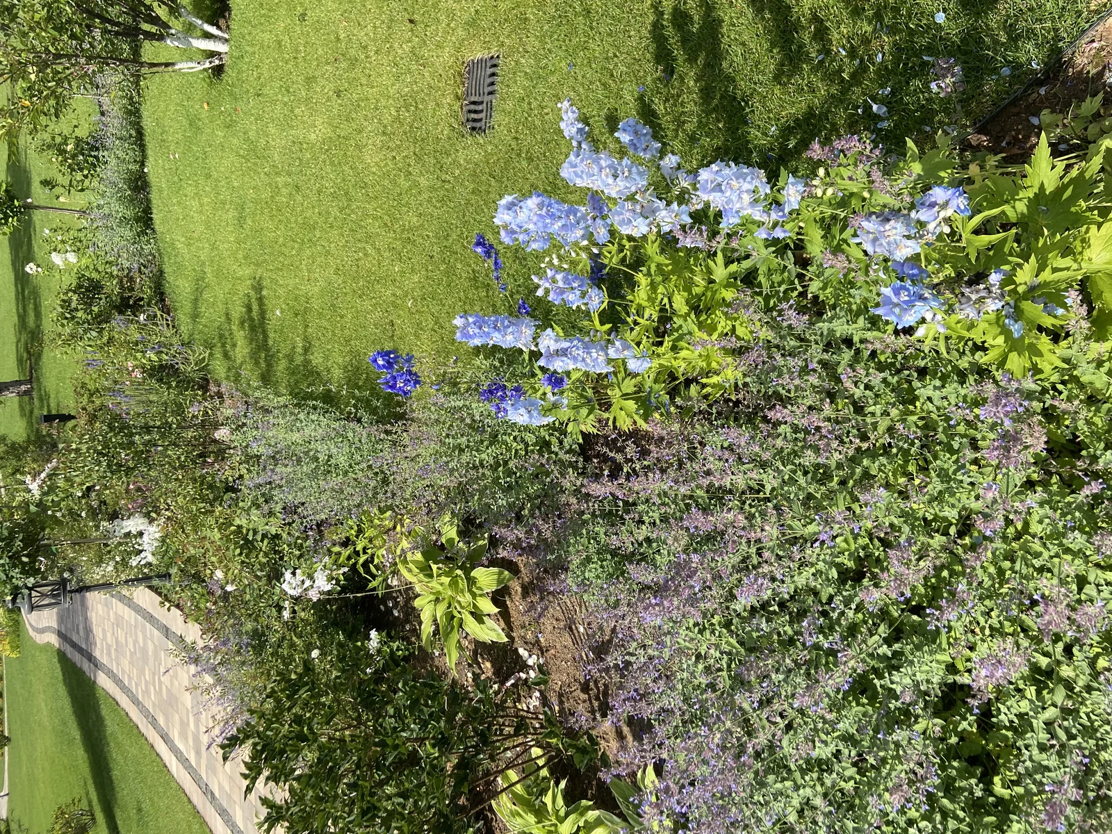 Ландшафтный дизайн